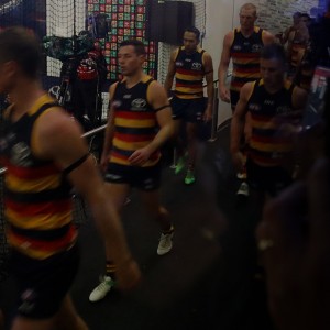 ADELAIDE CROWS COMPETITION